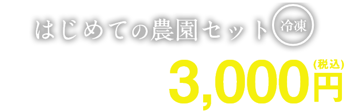 ・若鶏モモ肉（300g）・黒豚ミンチ（200g）・チキンナゲット（200g）・からあげ（150g）・やきとりセット（6本入り）・ミートボール（100g）・とりがらスープ（50ml×5本）