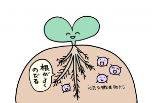 なぜ お野菜には化学肥料を 使わないのですか 秋川牧園